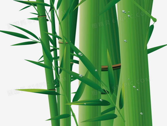 竹フローリング